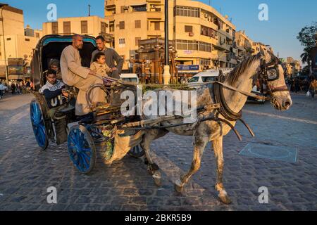 Egitto, Alto Egitto, valle del Nilo, Luxor, carrozza di cavalli Foto Stock