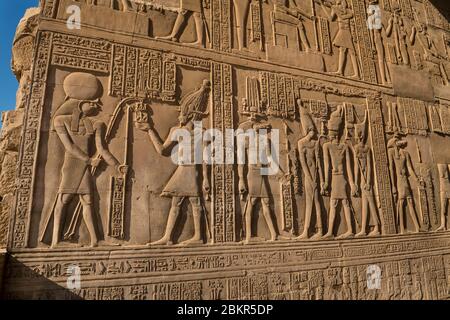 Egitto, Alto Egitto, valle del Nilo, Kom Ombo, tempio di Sobek e Haroeris, bassorilievi Foto Stock