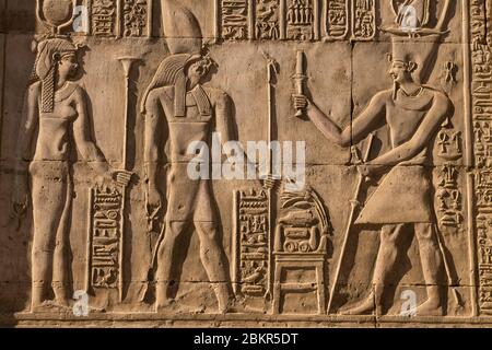 Egitto, Alto Egitto, valle del Nilo, Kom Ombo, tempio di Sobek e Haroeris, bassorilievi Foto Stock