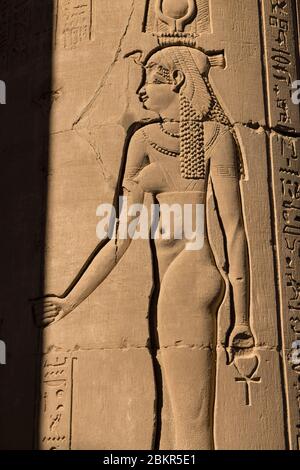 Egitto, Alto Egitto, valle del Nilo, Kom Ombo, tempio di Sobek e Haroeris, bassorilievi Foto Stock