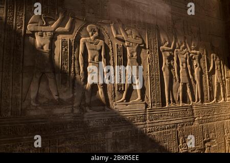 Egitto, Alto Egitto, valle del Nilo, Kom Ombo, tempio di Sobek e Haroeris, bassorilievi Foto Stock