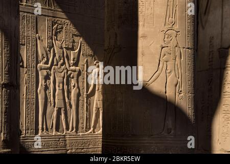 Egitto, Alto Egitto, valle del Nilo, Kom Ombo, tempio di Sobek e Haroeris, bassorilievi Foto Stock