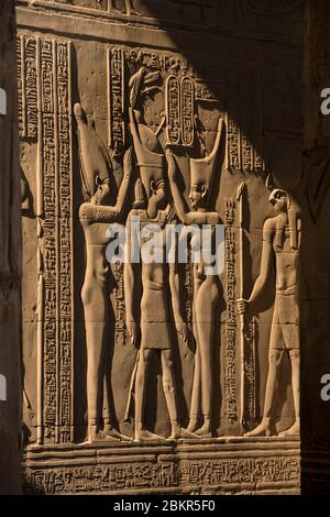 Egitto, Alto Egitto, valle del Nilo, Kom Ombo, tempio di Sobek e Haroeris, bassorilievi Foto Stock