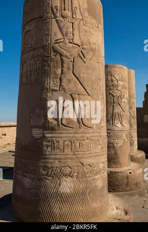 Egitto, Alto Egitto, valle del Nilo, Kom Ombo, tempio di Sobek e Haroeris, bassorilievi Foto Stock