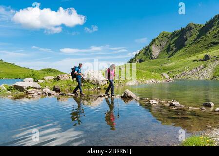 Francia, alta Savoia (74), Massif du Chablais, Abondance, Lac de Tavaneuse, un piccolo guado da accesso escursionisti a una piccola isola Foto Stock