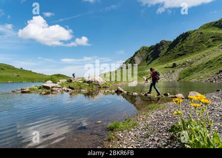 Francia, alta Savoia (74), Massif du Chablais, Abondance, Lac de Tavaneuse, un piccolo guado da accesso escursionisti a una piccola isola Foto Stock