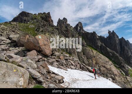 Francia, alta Savoia (74), Chamonix, Les Lacs Noirs, escursionisti che camminano sul sentiero che porta al col de la gli?re (2461 m) Foto Stock