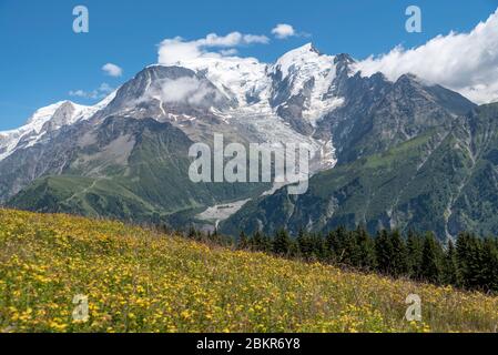 Francia, alta Savoia (74), Saint-Gervais, le Prarion, vista del massiccio del Monte Bianco dal sentiero che conduce alla cima del Prarion Foto Stock