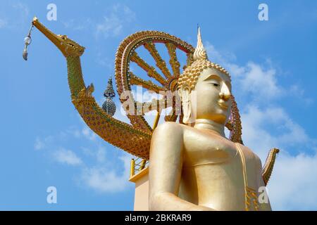 Wat Phra Yai, Tempio del Grande Buddha, Ko Samui, Thailandia Foto Stock