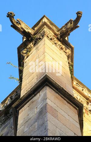 Francia, Haute Vienne, Limoges, quartiere della città, cattedrale Saint Etienne (XIII secolo) di stile gotico, gargoyles Foto Stock