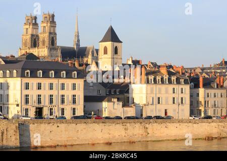 Francia, Loiret, Orleans, quai du Chatelet sulle rive della Loira con la cattedrale di Sainte Croix sullo sfondo Foto Stock