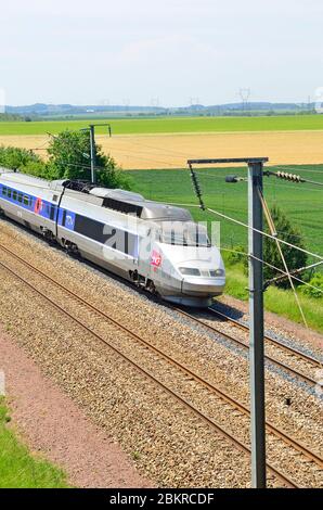 Francia, Senna e Marna, TGV, treno veloce Foto Stock