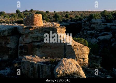 RIM Rock House con Tower Point, Hovenweep National Monument, Utah Foto Stock