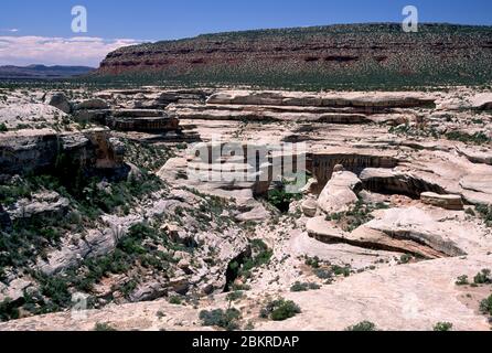 Sipapu Bridge, ponti naturali monumento nazionale, Utah Foto Stock