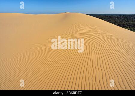 Francia, Gironde, Bassin d'Arcachon, la teste-de-Buch, Pyla-sur-mer, Dune du Pilat, con il COVID-19 (o Coronavirus) Foto Stock