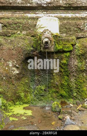 Gargoyle con acqua Santa nel complesso delle tombe reali della dinastia udayana. Antiche tombe reali al Tempio di Gunung Kawi. Complesso funerale centrato aro Foto Stock