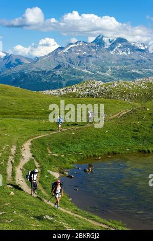 Francia, Savoia, Beaufortain, i cinque Laghi, piccolo pin senza nome lungo la strada che conduce ai 5 laghi, sullo sfondo le pendici della località di Les Arcs Foto Stock