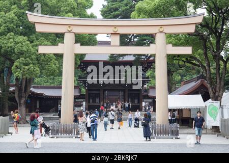 Giappone, Isola di Honshu, regione di Kanto, Tokyo, Shibuya uartier, Harajuku, tempio di Meiji Jingu, porta di legno di Torii Foto Stock