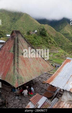 Filippine, Isola di Luzon, Provincia di Ifugao, Villaggio di Batad Foto Stock