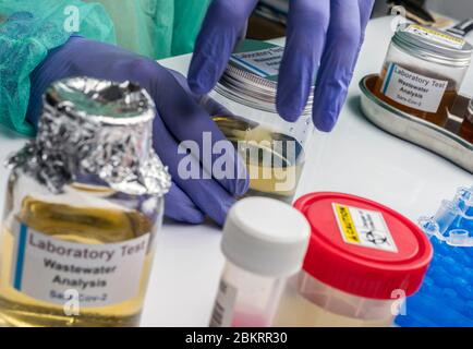 Analisi scientifica del campione di acque reflue in laboratorio, indagine di possibile contaminazione da parte di Sars-Cov-2 nell'uomo, immagine concettuale Foto Stock