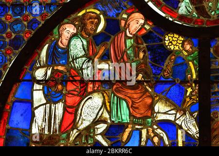 Francia, Aisne, Laon, la città alta, Notre-Dame de Laon cattedrale, architettura gotica, vetrate, l'ingresso di Gesù in Gerusalemme Foto Stock