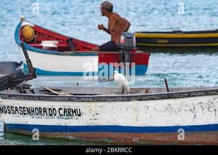 Piccola egretta (Egretta garzetta) arroccata su una barca da pesca nel porto di SAL Rei sull'isola di Boa Vista, arcipelago di Capo Verde / Cabo Verde Foto Stock
