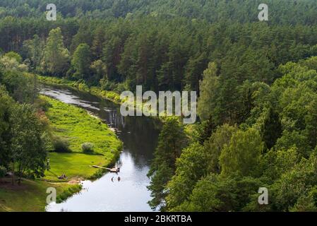 Lituania (Stati baltici), Contea di Utena, Anyksciai, Treetop Walk (Laju takas) Foto Stock