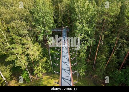 Lituania (Stati baltici), Contea di Utena, Anyksciai, Treetop Walk (Laju takas) Foto Stock