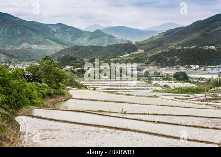 Corea del Sud, Provincia di Jeolla Nord, Jeonju, risaie, foreste, montagne e villaggi Foto Stock