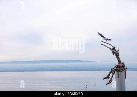 Francia, alta Savoia, Evian, il favoloso Villaggio o la leggenda dei Flottins, spettacolo che si svolge in un mese durante il periodo di Natale Foto Stock