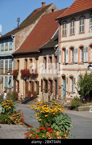 Francia, basso Reno, la Petite Pierre, la città medievale fortificata o Staedtel, Rue du Chateau Foto Stock