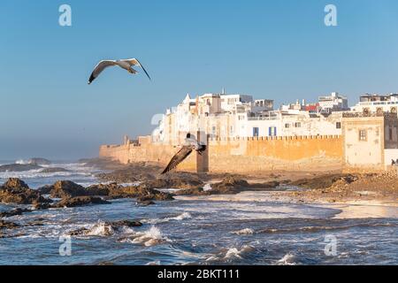 Marocco, Marrakech Safi, Essaouira, la medina, un sito patrimonio mondiale dell'UNESCO Foto Stock