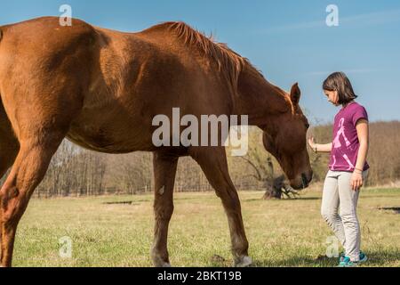 Ungheria, Somogy, Siofok, Lago Balaton Foto Stock