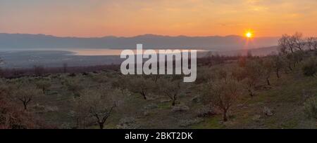 Grecia, Macedonia, lago Kerkini Foto Stock