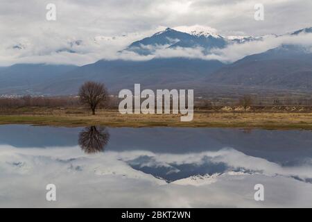 Grecia, Macedonia, lago Kerkini Foto Stock