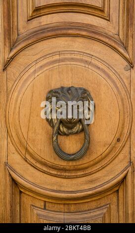 Porta a forma di leone in bronzo battente su porta in legno. Foto Stock