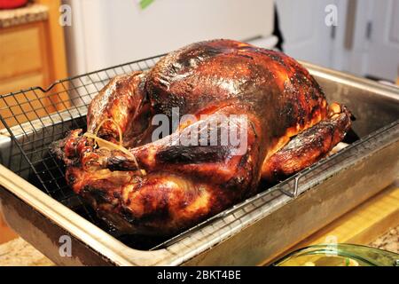 tacchino fuori dal forno su uno sfondo cucina. Arrosto, cucina tradizionale tacchino. Natale turchia. Foto Stock