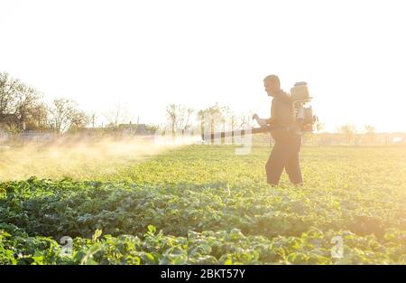 Un agricoltore spruzza una soluzione di solfato di rame su piante di cespugli di patate. Lotta contro infezioni fungine e insetti. Usi i prodotti chimici in agricoltura. AG Foto Stock