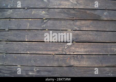 Vecchio sfondo di planking con graffi sul legno e con foglie autunnali tra le assi Foto Stock