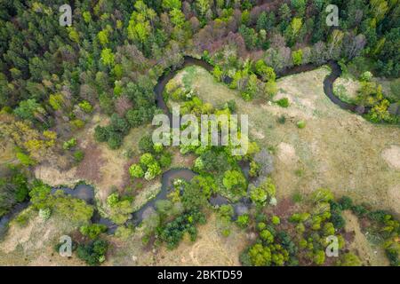 Vista aerea del fiume Warta con molti meandri. Regione del Giura vicino a Czestochowa. Voivodato silesiano. Polonia. Foto Stock