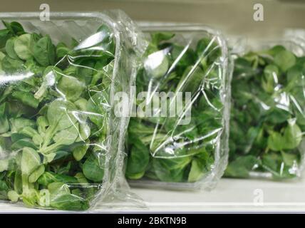 Foglie verdi fresche in scatola. Arugola germogli. Insalata fresca di primavera biologica. Foto Stock