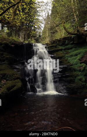 Penultima cascata sul Nant Bwrefwr. Foto Stock