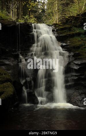 Penultima cascata sul Nant Bwrefwr. Foto Stock