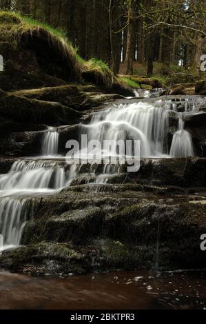 Cascata su Nant Bwrefwr, a circa metà strada tra il parcheggio e l'Afon Caerfanell. Foto Stock