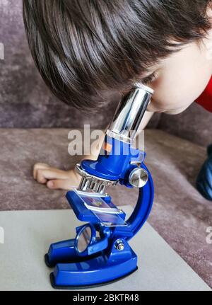 Ragazzino che guarda al microscopio. Lezione di scienza online. Scuola domestica. Foto Stock
