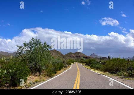 Strada solitaria attraverso il Parco Nazionale Saguaro, Arizona. Foto Stock