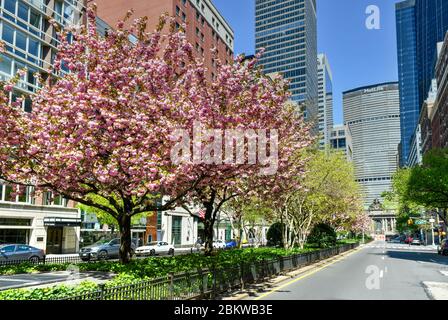 New York, NY - 19 aprile 2020: Grand Central Terminal e Park Avenue durante la fioritura primaverile. Foto Stock