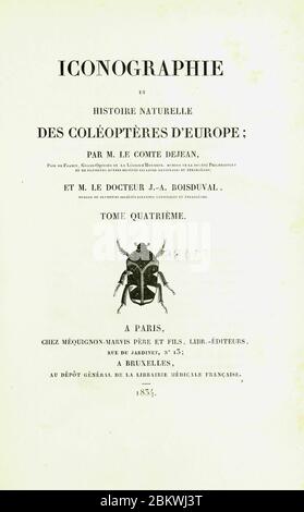 Iconographie et histoire naturelle des coléoptères d'Europe (pagina 3) Foto Stock