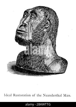 Restauro ideale dell'uomo Neanderthal - un manuale dell'antichità dell'uomo, 1875. Foto Stock