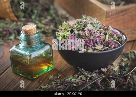 Ciotola di volgare di Origanum secco o di fiori di maggiorana selvaggi. Flacone di olio essenziale o infusione. Foto Stock